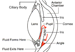 Click to enlarge diagram